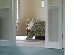Pornó videó ribanc s ...