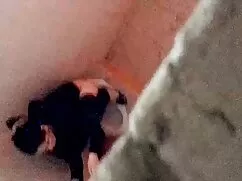 Ava Addams forró sze ...