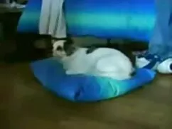 Egy fiatal iskolás l ...
